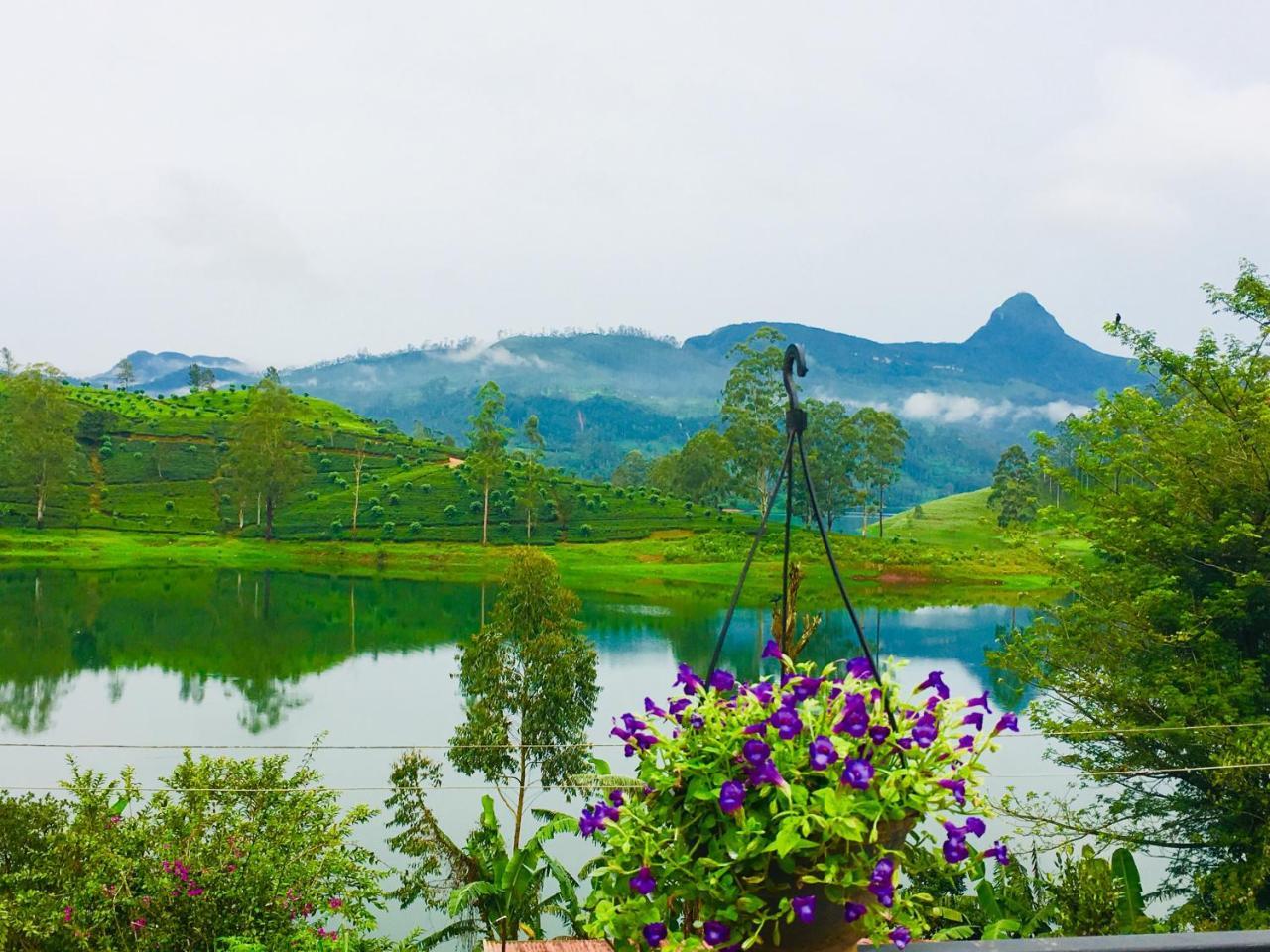 Butterfly Mountain Lake Side Maskeliya 외부 사진
