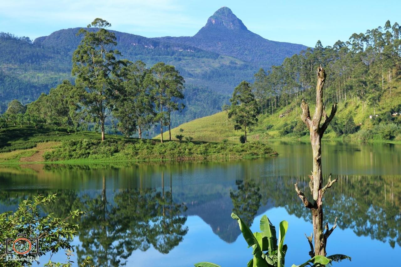 Butterfly Mountain Lake Side Maskeliya 외부 사진