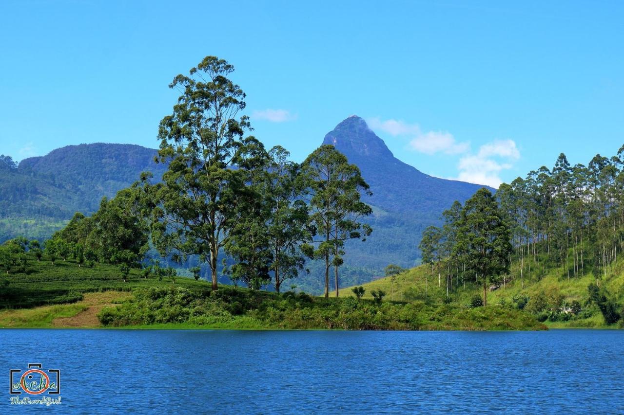 Butterfly Mountain Lake Side Maskeliya 외부 사진